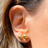 Dual Earrings (Gold and Silver)